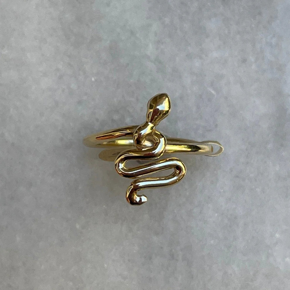 A brief history of snake rings